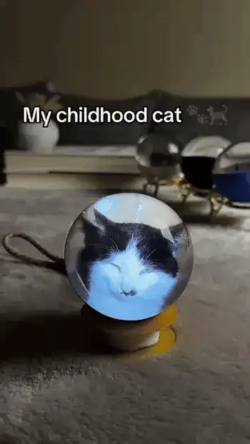 Crystal Memory Globe glowing by a Christmas tree